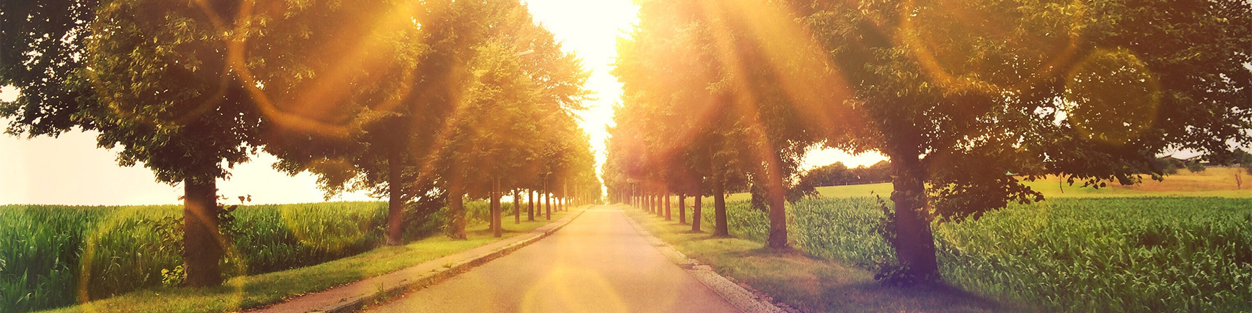 header/h_67445394.jpg